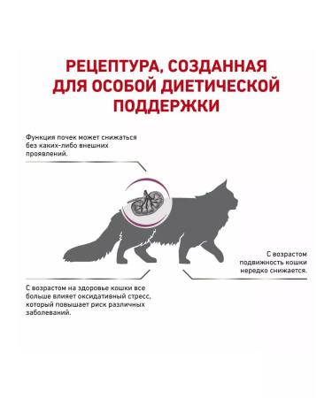 ROYAL CANIN Dry food for cats Early Renal 400 g - Buy Online on GoSupps.com