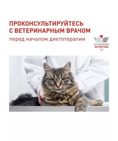 ROYAL CANIN Dry food for cats Early Renal 400 g - Buy Online on GoSupps.com