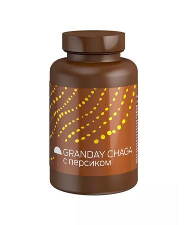 Artlife Chaga Granday Chaga Proactive (Grandes) - Buy Online on GoSupps.com