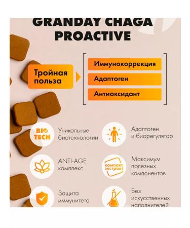 Artlife Chaga Granday Chaga Proactive (Grandes) - Buy Online on GoSupps.com