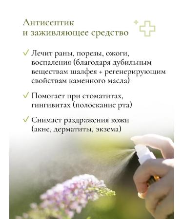 PRINCESS Water with stone oil "Sage" - Buy Online on GoSupps.com