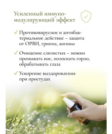 PRINCESS Water with stone oil "Sage" - Buy Online on GoSupps.com