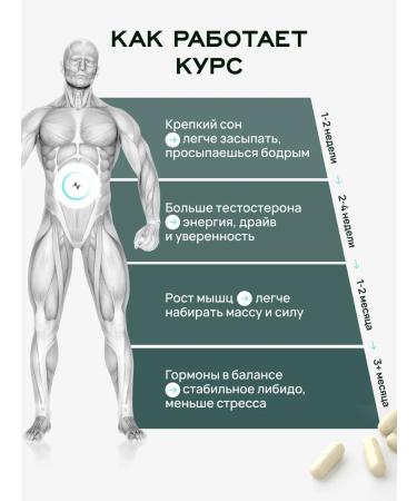 Lifevit ZMA testosterone booster sports nutrition - Buy Online on GoSupps.com