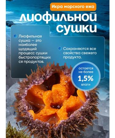 Benefits of the Arctic Complex two cans of health vitamins - Buy Online on GoSupps.com