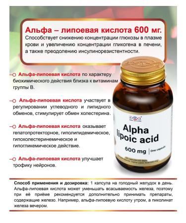 Energy Bio Systems Alpha lipoic acid 600 mg 60 capsules - Buy Online on GoSupps.com