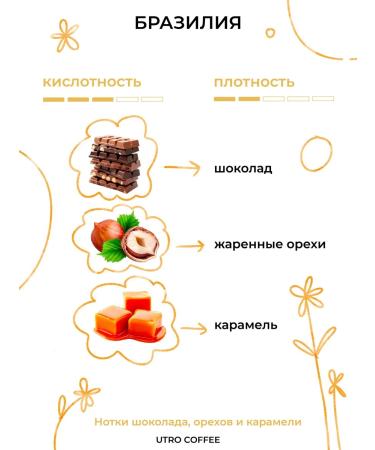 Morning Coffee Drip coffee 10 pcs Brazil - Buy Online on GoSupps.com