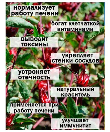 Tree of Love Tea tags natural sheet 1 kg - Buy Online on GoSupps.com