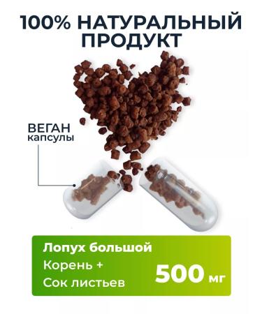 AltHerbs Burdock root in the capsules of Altai dried - Buy Online on GoSupps.com