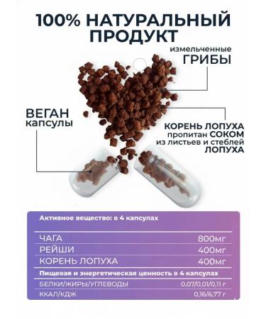 AltHerbs Chaga with burdock and mushroom Reishi Altai in capsules - Buy Online on GoSupps.com