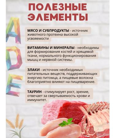 Night Hunter Cat food for a wet lamb in jelly 10 pcs 415 g - Buy Online on GoSupps.com