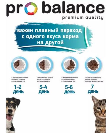 ProBalance Dry food for cats gourmet diet beef-jagged set - Buy Online on GoSupps.com