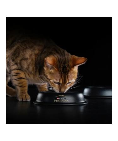 PRO PLAN Wet food of sterilized cats turkey and fish 40*85 gr - Buy Online on GoSupps.com
