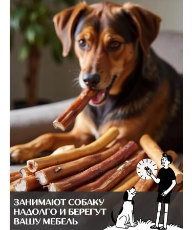 FOR RODENT DOG Dog delicacies bull root 30 cm 100 g - Buy Online on GoSupps.com