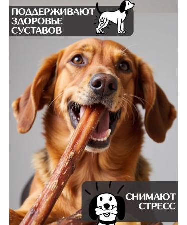 FOR RODENT DOG Dog treats bull root 30 cm 300 g - Buy Online on GoSupps.com