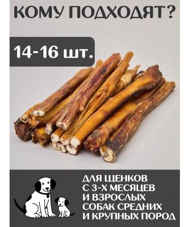 FOR RODENT DOG Dog delicities bull root 30 cm 1000 g - Buy Online on GoSupps.com
