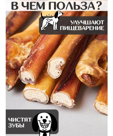 FOR RODENT DOG Dog delicities bull root 30 cm 1000 g - Buy Online on GoSupps.com