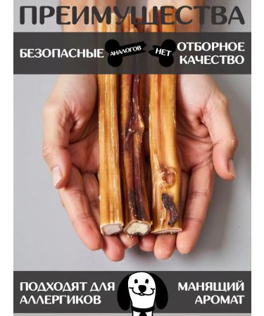 FOR RODENT DOG Dog delicities bull root 30 cm 1000 g - Buy Online on GoSupps.com