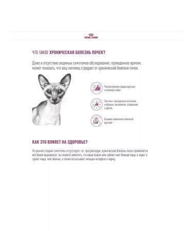 ROYAL CANIN Dry food for cats Renal 2 kg - Buy Online on GoSupps.com