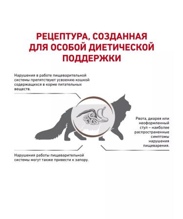 ROYAL CANIN For cats Gastrointestinal Fiber Response 350gr - Buy Online on GoSupps.com