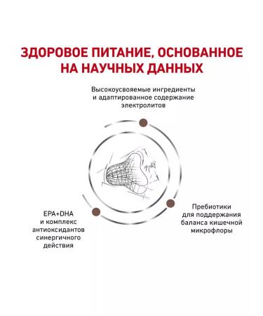 ROYAL CANIN For cats Gastrointestinal Fiber Response 350gr - Buy Online on GoSupps.com