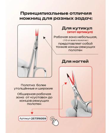 RejumiPro Manicure scissors - Buy Online on GoSupps.com