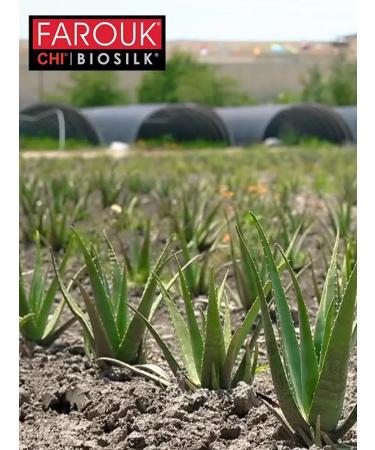 chi Moisturizing shower gel Aloe Vera and hyaluronic acid - Buy Online on GoSupps.com