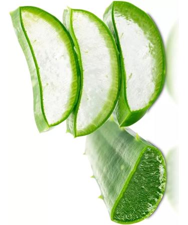 chi Moisturizing shower gel Aloe Vera and hyaluronic acid - Buy Online on GoSupps.com