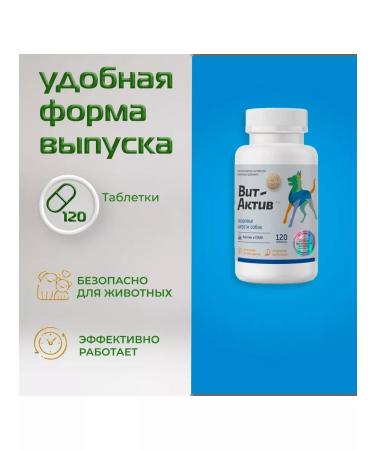 Vit-Active Vitamin-mineral complex Health of wool for dogs - Buy Online on GoSupps.com