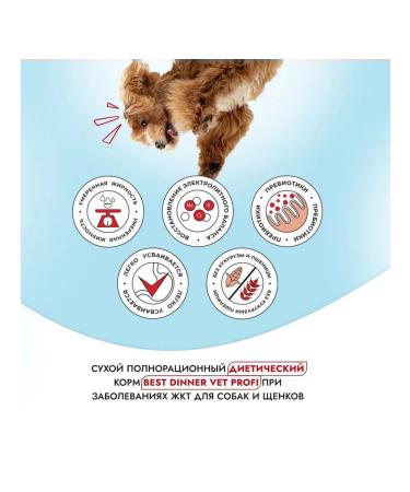 Best dinner Vet Profi dog food with digestive disorders 12 kg - Buy Online on GoSupps.com