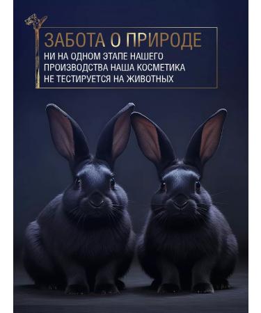 EDLERBART Professional male shampoo for all hair types - Buy Online on GoSupps.com