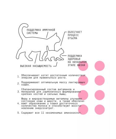 AJO Dry food for kittens pregnant and nursing cats 10 kg - Buy Online on GoSupps.com