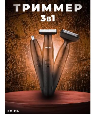 Present PHILIPS-114 beard machine