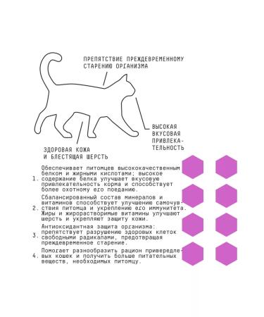 AJO Dry food for fastidious cats and kittens Delicate0.4 kg - Buy Online on GoSupps.com