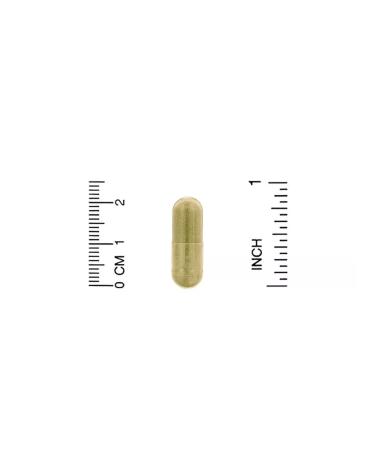 California Gold Nutrition Fizetin 100 mg 30 plant capsules - Buy Online on GoSupps.com