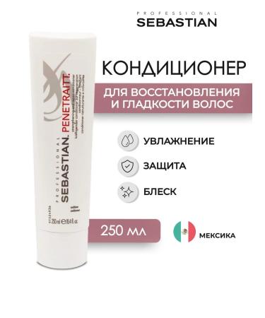 SEBASTIAN PROFESSIONAL PENETRAITT HALL air conditioning 250 ml