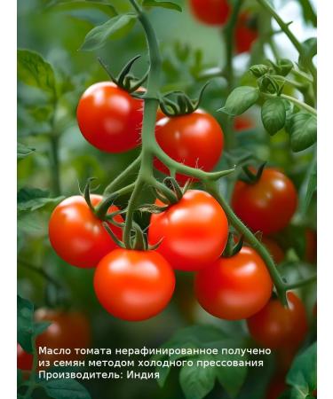 WIPLUS Tomato oil - Buy Online on GoSupps.com