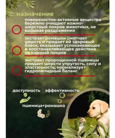 In the animal world 21 Soft shampoo for kittens and puppies 220 ml - Buy Online on GoSupps.com