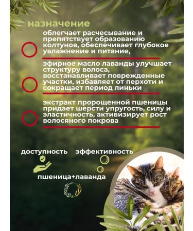 In the animal world 21 Unraveling shampoo for cats 220 ml - Buy Online on GoSupps.com