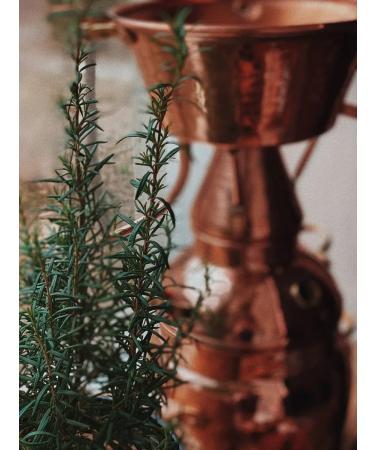 Wise Crimean rosemary hydrolyte 100ml - Buy Online on GoSupps.com