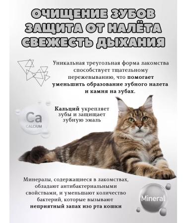 Nature's Protection Cat a treat for teeth - Buy Online on GoSupps.com