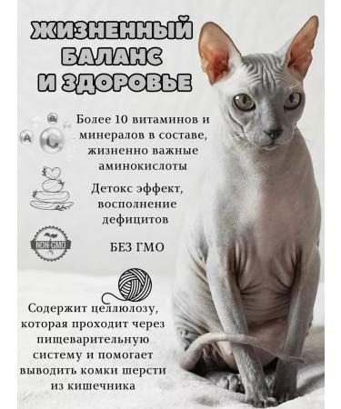 Nature's Protection Cat a treat for teeth - Buy Online on GoSupps.com