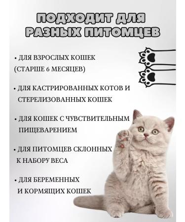 Nature's Protection Cat a treat for teeth - Buy Online on GoSupps.com