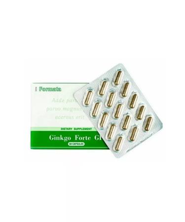 Santegra Ginkgo biloba vitamins for the brain and memory of Ginkgo Forte - Buy Online on GoSupps.com