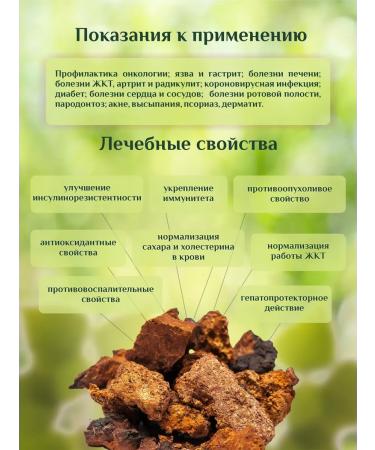 Tea Rhythm Chaga Birch natural in bags - Buy Online on GoSupps.com