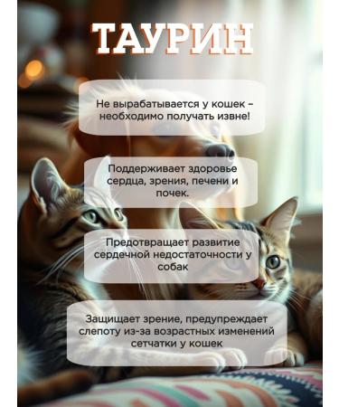 CATDOGS Vitamins for cats and dogs with taurin - Buy Online on GoSupps.com