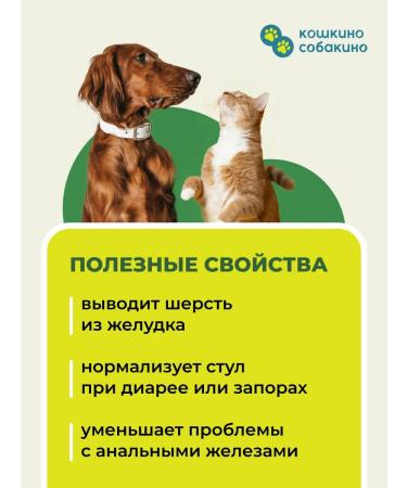 CATDOGS Additive from diarrhea constipation in dogs and cats psillium - Buy Online on GoSupps.com