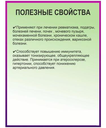 bee and man Horsetail in capsules - Buy Online on GoSupps.com