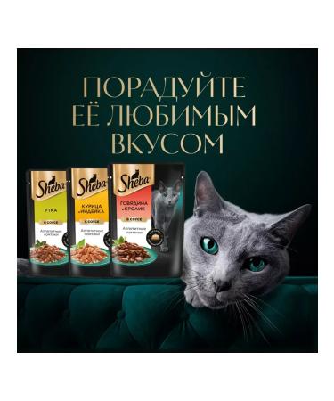 Sheba Wet food for cats beef rabbit in sauce 75 g 10 pcs - Buy Online on GoSupps.com