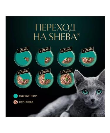 Sheba Wet food for cats beef rabbit in sauce 75 g 10 pcs - Buy Online on GoSupps.com