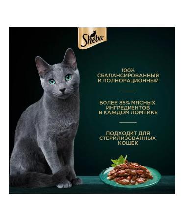 Sheba Wet food for cats beef rabbit in sauce 75 g 10 pcs - Buy Online on GoSupps.com